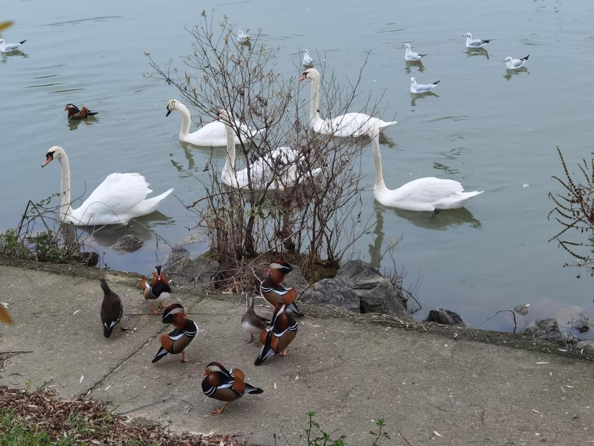 Les Pingouins De La Marne Bed & Breakfast เลอแปโรซูร์มาร์น ภายนอก รูปภาพ