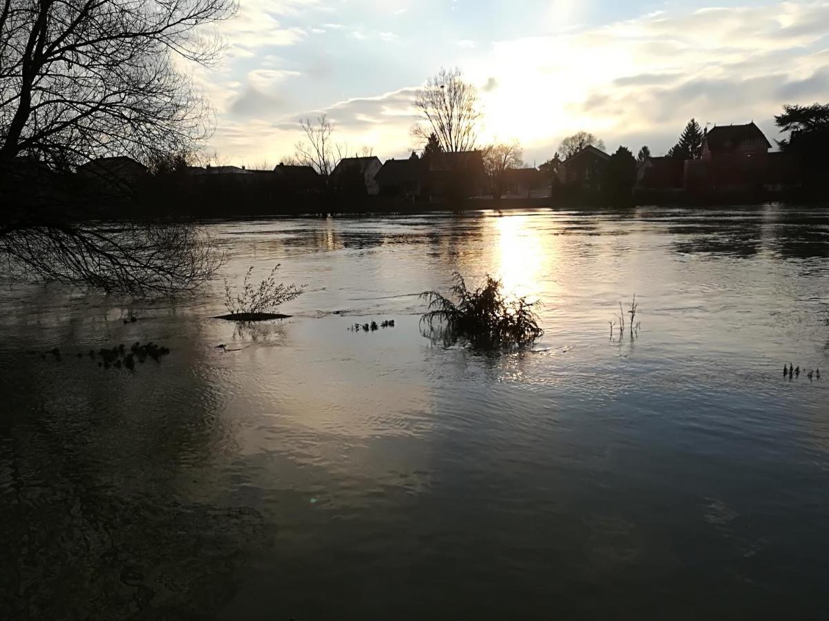 Les Pingouins De La Marne Bed & Breakfast เลอแปโรซูร์มาร์น ภายนอก รูปภาพ