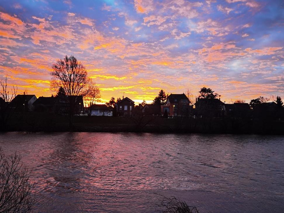 Les Pingouins De La Marne Bed & Breakfast เลอแปโรซูร์มาร์น ภายนอก รูปภาพ